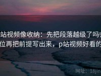 p站视频像收纳：先把段落越级了吗归位再把前提写出来，p站视频好看的