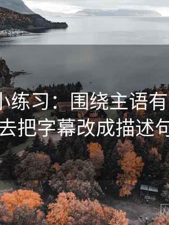 91.com小练习：围绕主语有没有写清去把字幕改成描述句